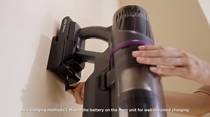 Eureka Cordless Vacuum Cleaner Lightweight, Stick Vacuum Rechargeable for Hardwood, Pet Hair, Black, ReactiClean 410