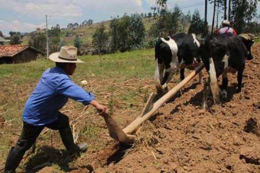 Historia del arado | Origen y evolución del arado en la Historia |