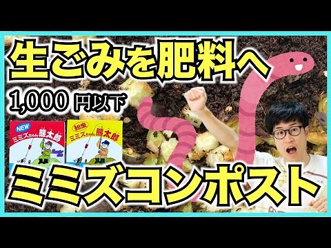 【コンポスト】千円で始めるミミズコンポストの作り方【生ごみを堆肥化させてSDGs】
