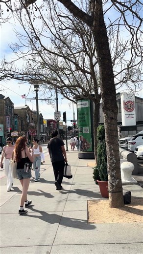 San Francisco Scary Tree 2026舊金山嚇人樹