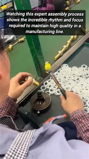Expert Worker Shows Incredible Speed On The Assembly Line