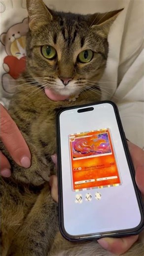 Day 182 Elfie 🐱 #pokemon