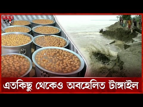 বৈষম্যের শিকার ৩৩ লাখ ভোটারের অপার সম্ভাবনাময় টাঙ্গাইল | Tangail | Char Erosion | Agriculture Crisis