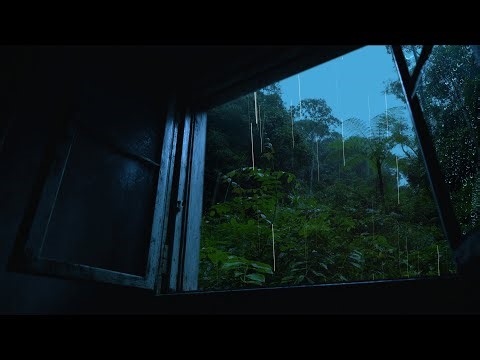 Rain on Window in the Forest at Night 4K | Heavy Rain & Thunder to Help You Relax & Sleep Deeply