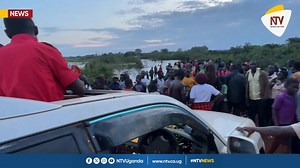 NUP presidential candidate Robert Kyagulanyi has been forced to turn back nearly 70km after finding the Amon-maka Bridge in Otuke flooded due to heavy rains while returning from his Agago rally. #NTVNews #UgandaDecides2026 📹: Jeff Twesigye | NTV Uganda