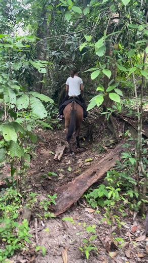 Riding in the jungle | Cross Country Equine