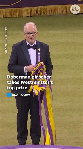 Penny the Doberman Pinscher snatched the Westminster Dog Show's Best in Show crown after shining in agility and beating out the top dogs from every group. | USA TODAY