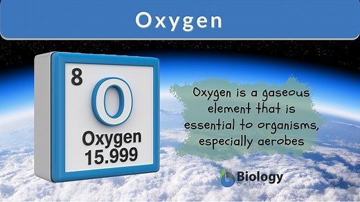 Oxygen Definition and Examples - Biology Online Dictionary
