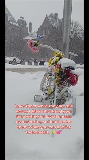 Forgiveness, forbearance, compassion and love should always be part of your character, we need these more often than we think and more so with our loved ones than with the people outside. The hardest task in life is building your character, and it can only be built in the crucible of hardships. Be strong, and a life worth remembering!🥰✨️💕 #love #inspiration #family