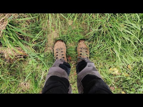 ASMR - walk over a field path in Germany | lofi