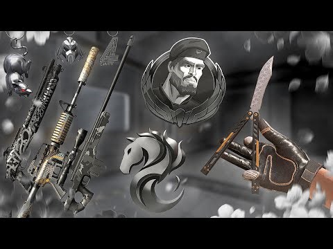 I'VE COLLECTED AN ELEGANT GRAY INVENTORY IN STANDOFF 2