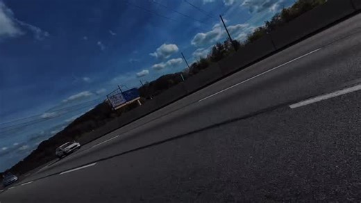 Lil buddy 🐝 was catching a ride 😂 | Bustedbiscotti