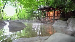 Japanese open air hot spring concept. Onsen.