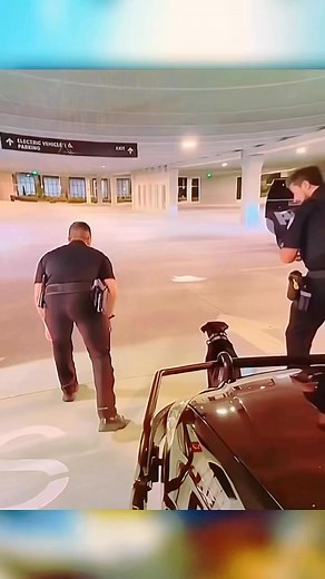 8.8K views · 214 reactions | #k9 Scenario Training #k9unit #workingdogs #malinoisofinsta #dogtraining #teamwork #specialforces #protectiondogs #malinoisdog #fypシ #duet #k9training #airsoftgun | Dog trainer usa | Facebook