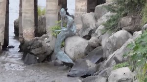 33M views · 773K reactions | 8 Videos Recientes Que Demuestran Que Las Sirenas Existen. | Top Mystery Stories | Facebook