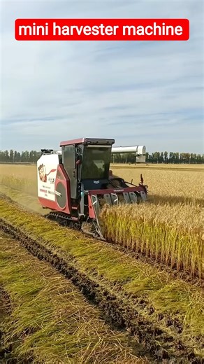 mini harvester machine 🔥 #shorts #miniharvester #yanmar
