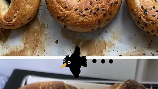 【厨房神器推荐】东芝（TOSHIBA）大白茶T550嵌入式微蒸烤炸炖一体机｜55L大容量250℃高温变频蒸汽全能王｜微波炉蒸箱烤箱三合一旗舰款