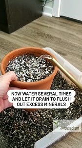 950K views · 4.1K reactions | How to reuse old soil. There are a few...