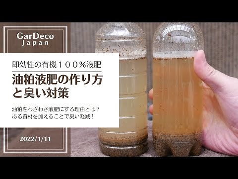 【有機１００％】油粕液肥の作り方と臭い対策【即効性】