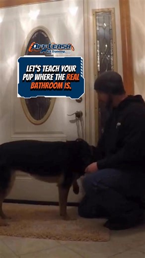 Potty accidents in the house can be a struggle, but the good news is…it’s fixable! With the right training, your puppy will know exactly where to go, every time. In just a few lessons, your pup will: ✅ Understand it’s potty time when you guide them ✅ Stop accidents in the house ✅ Learn consistency and routine for successful potty breaks Make potty training stress-free and set your puppy up for success! 💡 💬 Comment TRAINING or DM @olk9greenville to start turning your puppy into a potty pro toda