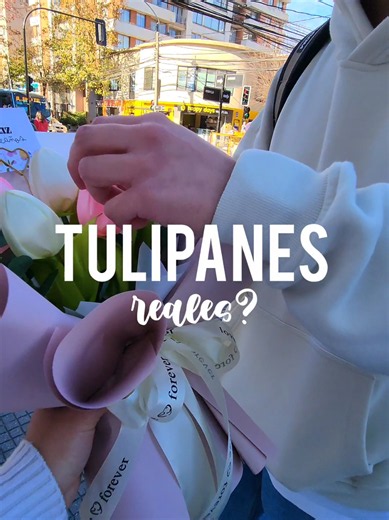 Ramo de listón que parece tulipanes naturales — entrega en Concepción