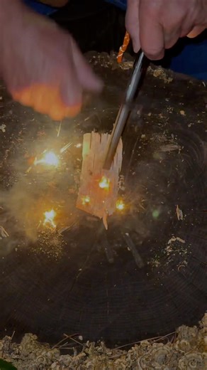 How to Use a Ferro Rod and Birch Bark #shorts