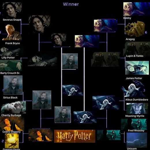 Harry Potter Death Tournament (Championship)