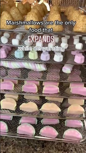 How to make dehydrated marshmallows