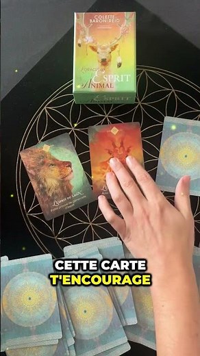 Message de l'oracle (esprit animal)