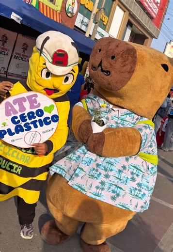 Programa Municipal Educca Ate on TikTok