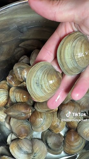 Perfect Clam Sauce Pasta: Restaurant Quality at Home