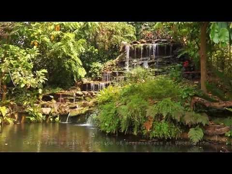 Garden Waterfall Screensaver for Windows 10 or MP4 Video in Full HD