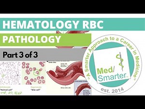 USMLE Step 1 | Hematology RBC Pathology | MedSmarter | Part 3 of 3