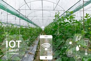 Agro Connect- Smart E-Farming