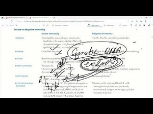 Innate Vs adaptive Immunity | Cellular Components | Immunology | First Aid Lectures | Lec.4