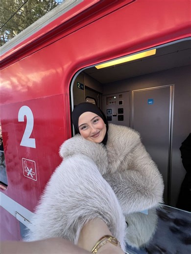 Discover the Beauty of Switzerland's Mountains