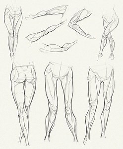 View 27 Anatomy Practice Drawing Poses