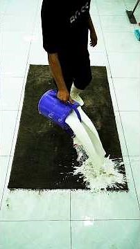 Cleaning the Most Algae-Infested Carpet Ever