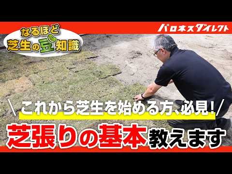 これだけは知っておきたい！芝生の張りかたのポイント～歴代店長が語る芝生の豆知識～