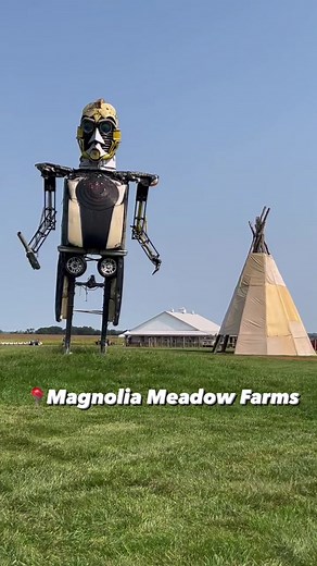 We recently visited Magnolia Meadow Farms this fall and it is a must for your family. 🎟 Use code austinfamilyadventures22 for $1 off of general admission price. Some of the activities include: 🌻The largest corn maze in Maryland 🌽 over a mile long! 🌻Zip Lining 🌻Farm Animals 🐐 🌻Slides 🌻jumping pillow 🌻Pedal cart track 🌻Barrel Train 🌻Sports courts (baseball, basketball and football) 🌻Corn box and Sand box 🌻gem mining 🌻Apple Cannon and so much more! The kids favorite activities were th