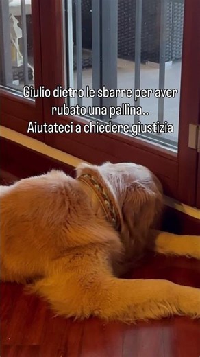 Abbiamo bisogno del vostro sostegno per uscire🥺