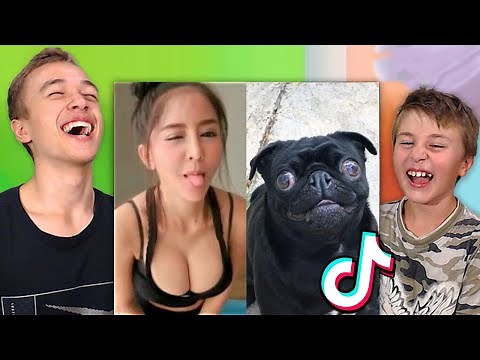 TIKTOK POKUŠAJ DA SE NE NASMEJEŠ *nemoguće*