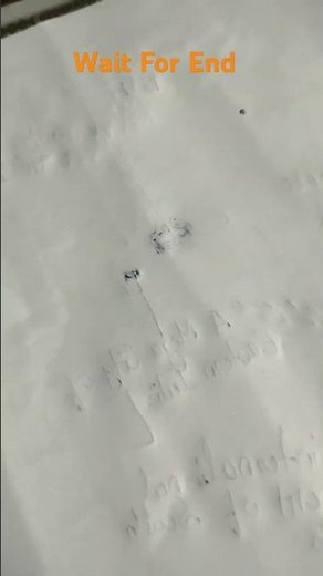 ff new update gameplay| iPhone 12 new gameplay