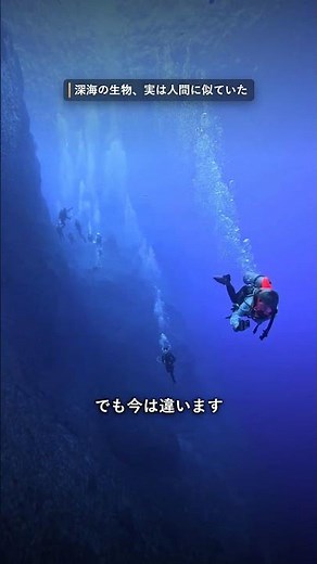 深海で研究者だけが知っていること