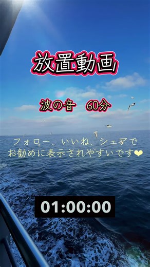 ゆっくり進むフェリーのそばを、 ふわっとカモメが横切っていく。 空の淡い色も、風の音も、波のリズムも、全部まとめて優しい。 この動画は、熊本へ向かう途中の小さな癒し。 #放置動画 #有明フェリー #癒しの瞬間 #カモメ #ポイ活