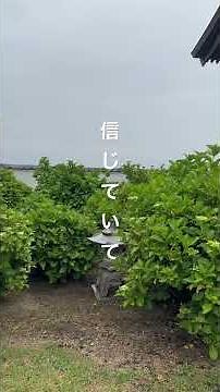 2026.6.20【PIECE OF MY WISH】