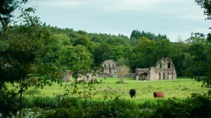 What is God saying to me today? Five free video sessions and accompanying discussion guides based on Pete Greig’s book, How to Hear God. | 24-7 Prayer