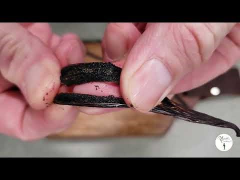 How to Make Pure Vanilla Extract at Home Including Charts for Selecting the Right Amount of Beans