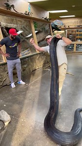 2.7M views · 18K reactions | Jayprehistoricpets on Reels | Facebook