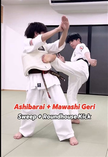 Kumite Drill: Ashibarai and Mawashi Geri Techniques